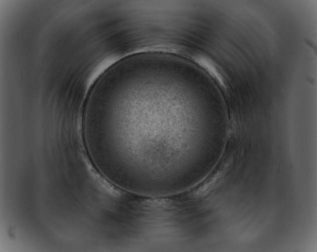 X0000093160952200709261506
