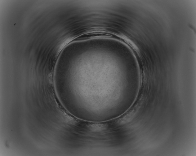 X0000093160953200709261506
