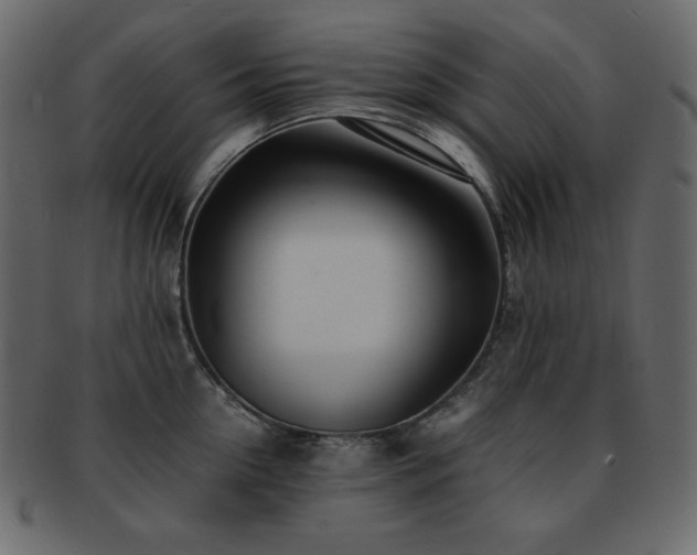 X0000093160954200709261506