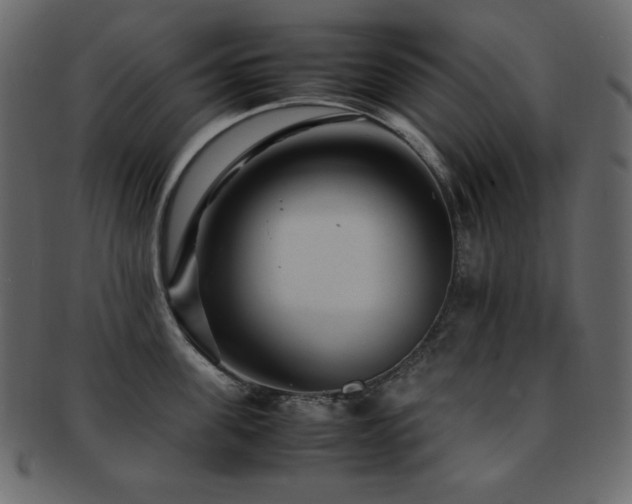 X0000093160955200709261506