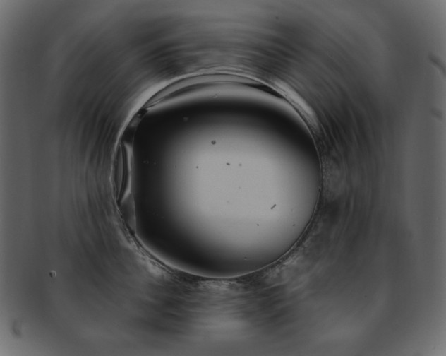 X0000093160956200709261506