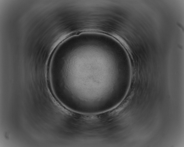 X0000093160957200709261506
