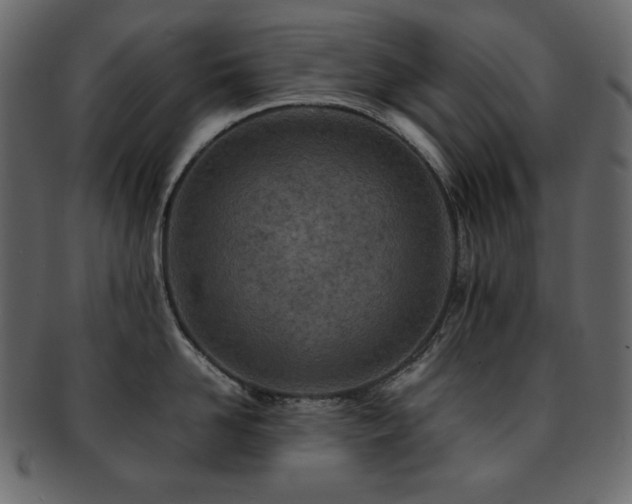 X0000093160958200709261506
