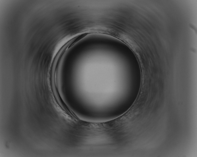 X0000093160960200709261506