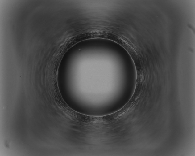 X0000093160961200709261506