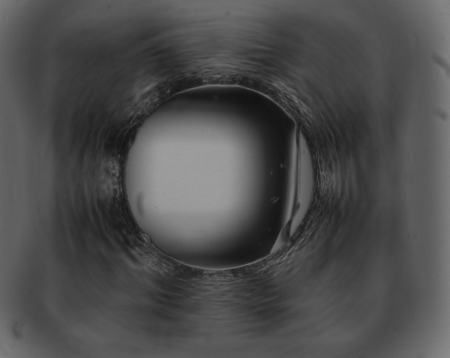 X0000093160964200709261506