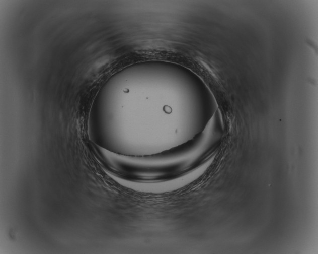 X0000093160965200709261506