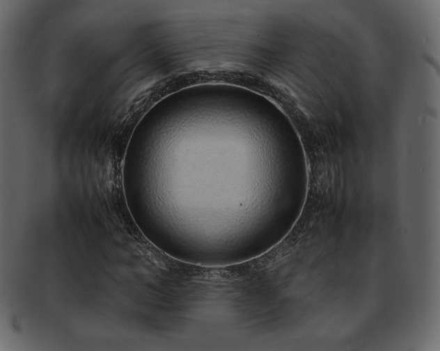 X0000093160966200709261506