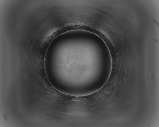 X0000093160967200709261506