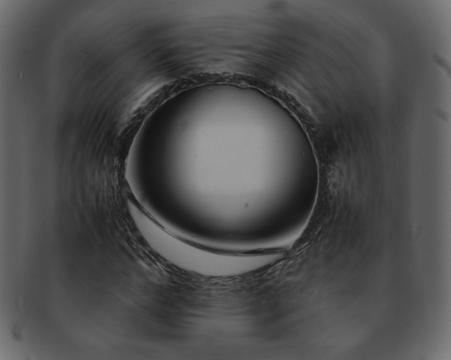 X0000093160968200709261506