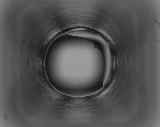 X0000093160969200709261506