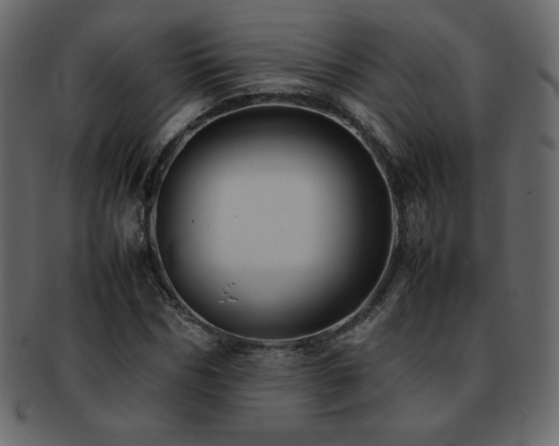 X0000093160970200709261506