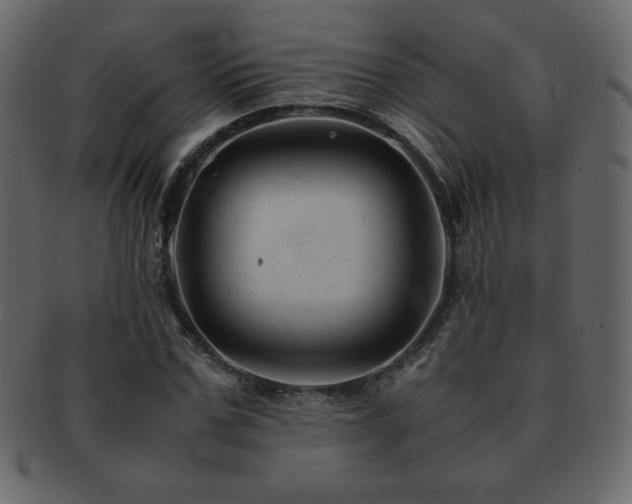 X0000093160971200709261506
