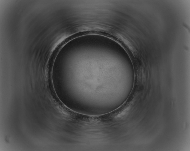 X0000093160975200709261505