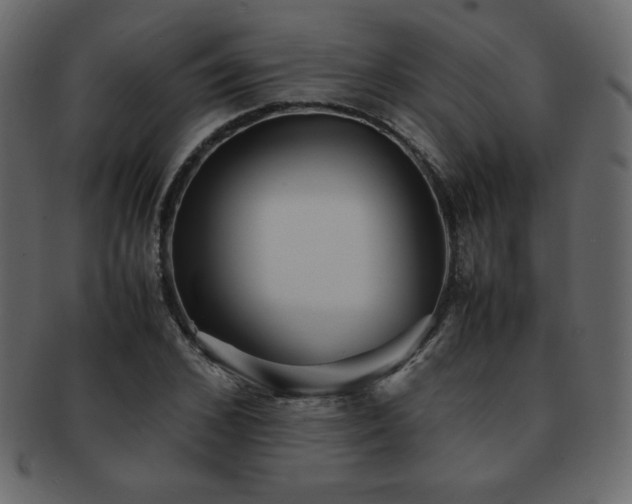 X0000093160976200709261505
