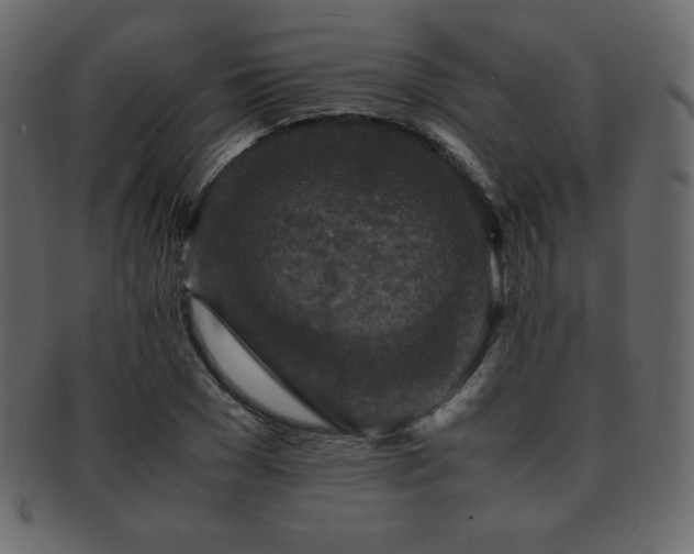 X0000093160977200709261505