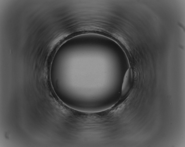 X0000093160979200709261505
