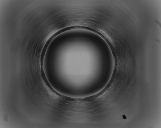 X0000093160980200709261505