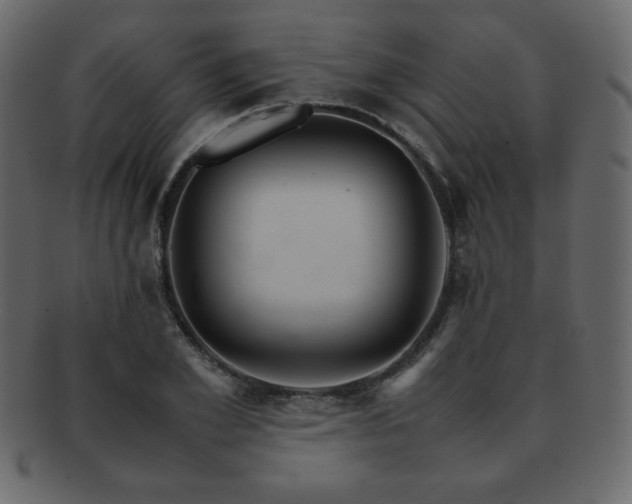 X0000093160981200709261505