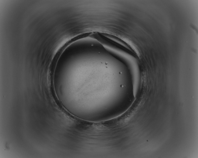 X0000093160983200709261505