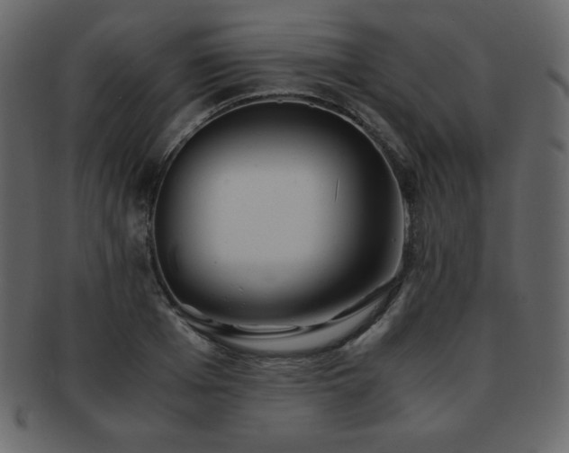 X0000093160985200709261505