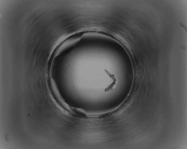 X0000093160989200709261505