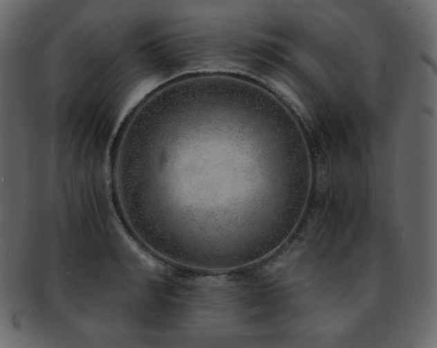 X0000093160990200709261505
