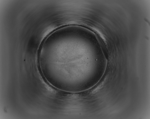 X0000093160991200709261505
