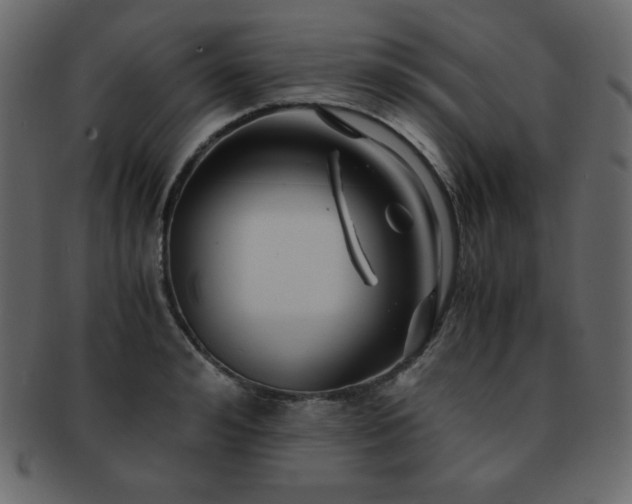 X0000093160992200709261505