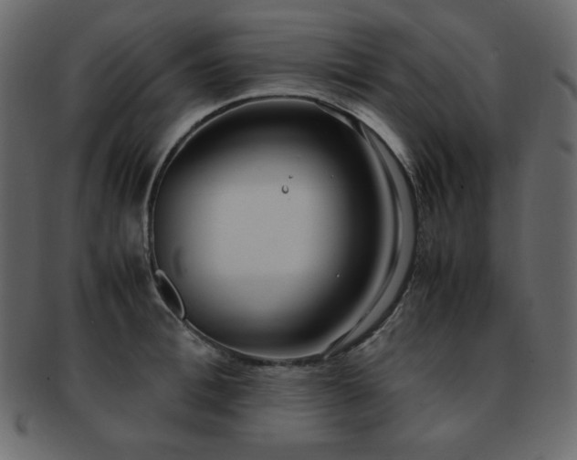 X0000093160996200709261505
