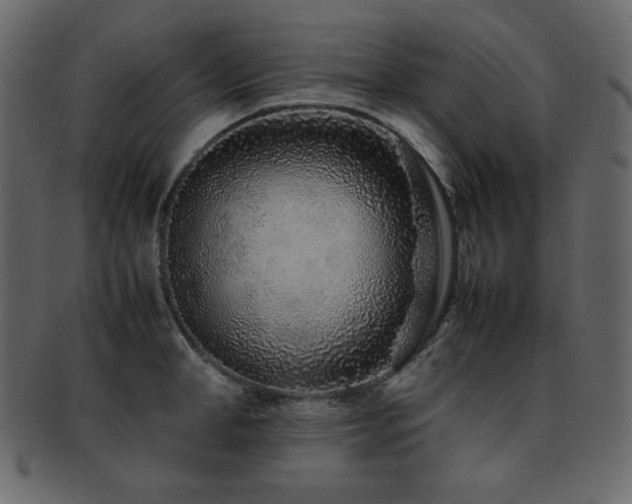 X0000093160998200709261505