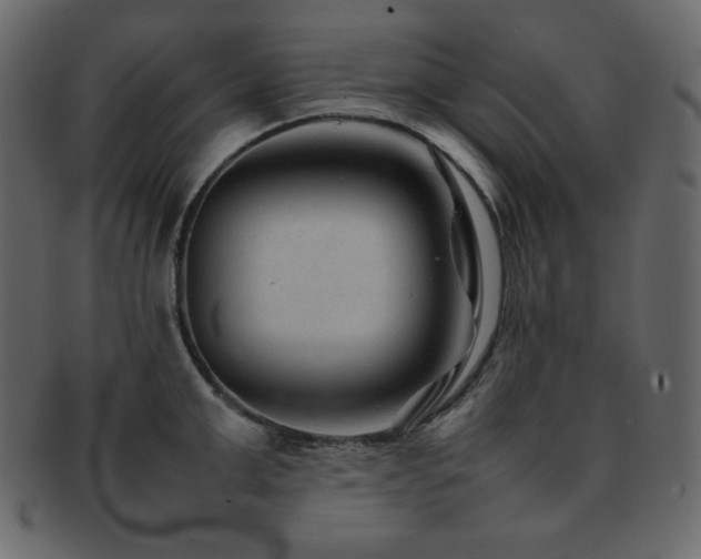 X0000093160999200709261505