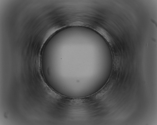 X0000093161000200709261505