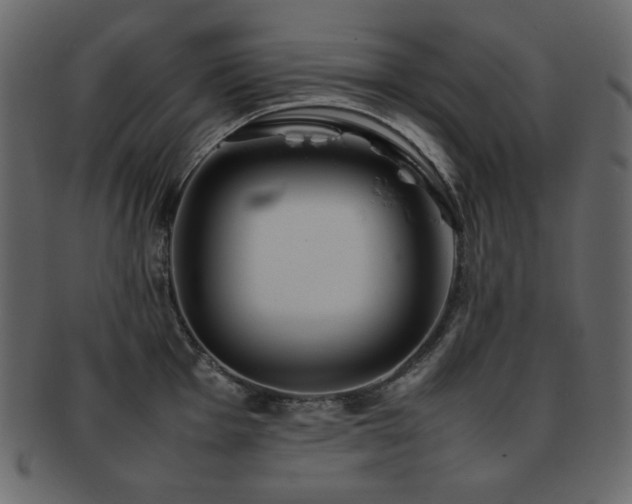 X0000093161001200709261505