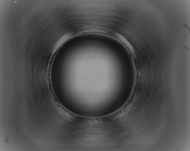 X0000093161002200709261505