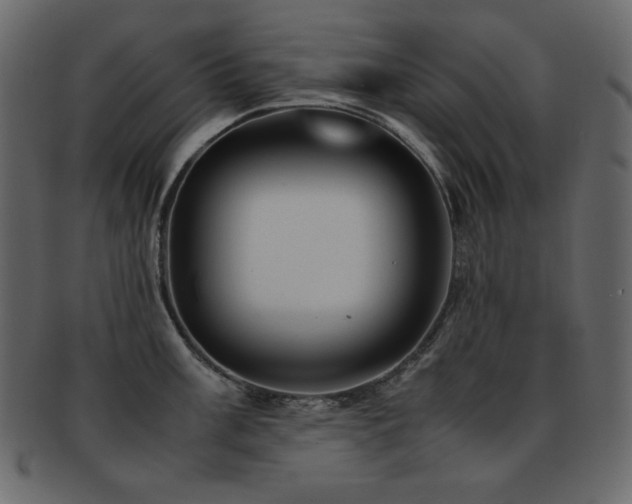 X0000093161003200709261505