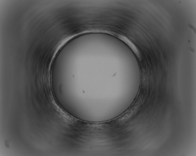X0000093161004200709261505