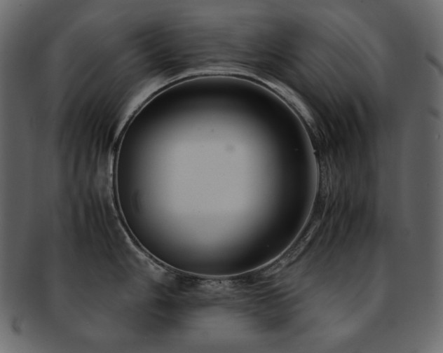 X0000093161006200709261505