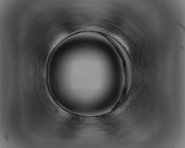 X0000093161007200709261505