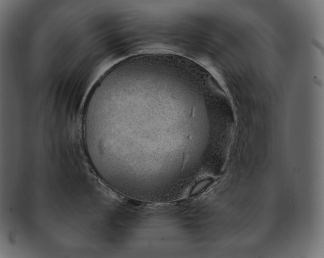X0000093161008200709261505