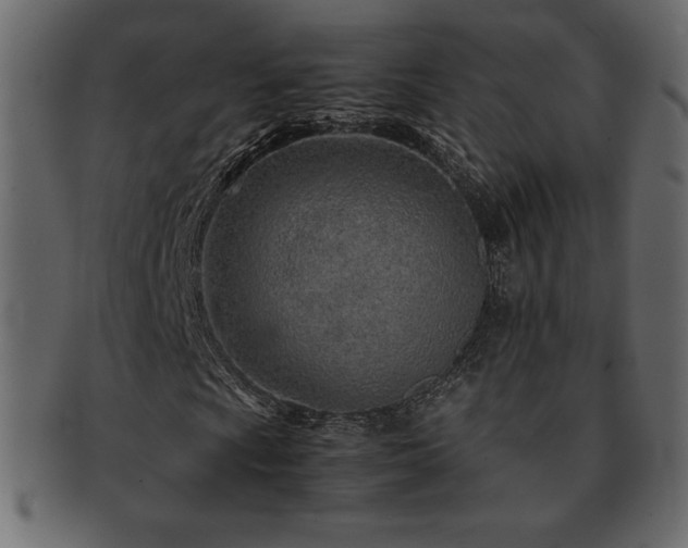 X0000093161009200709261505