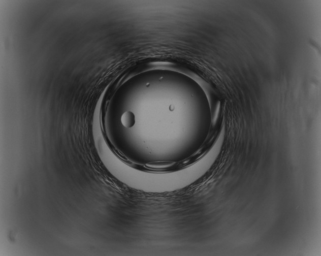 X0000093161010200709261505