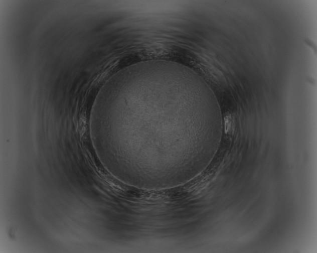 X0000093161011200709261505