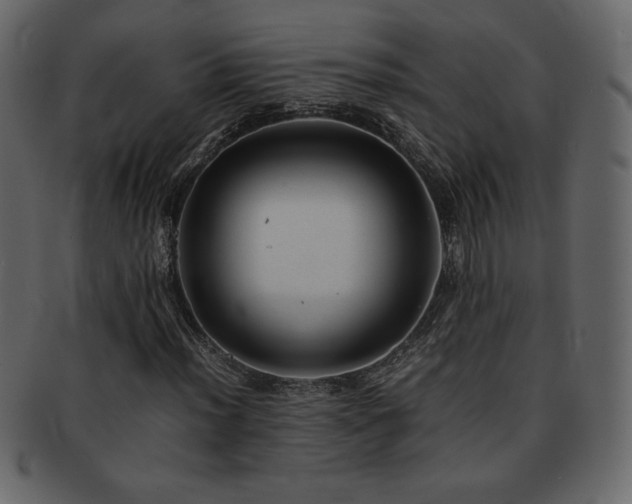 X0000093161012200709261505