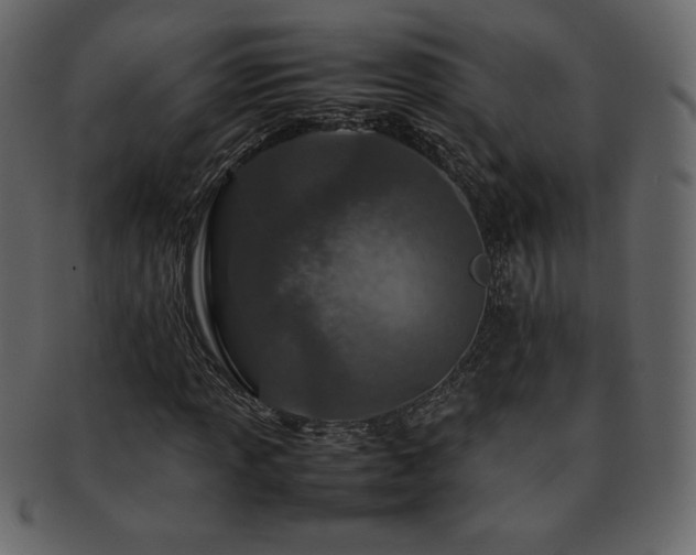 X0000093161013200709261505