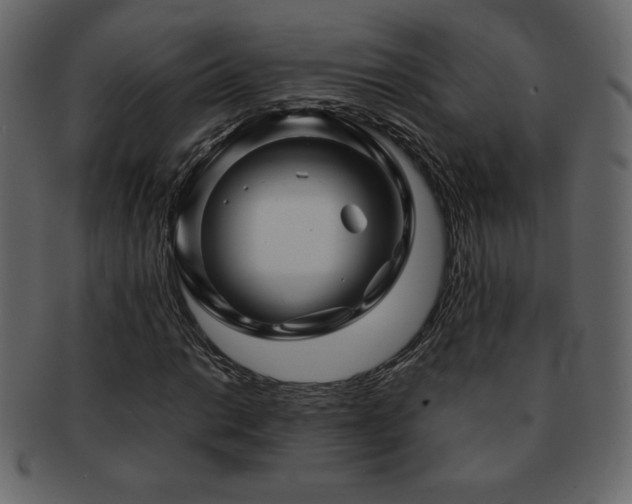 X0000093161014200709261505