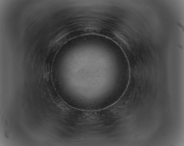 X0000093161015200709261505