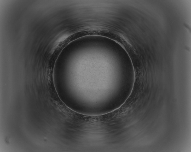 X0000093161016200709261505