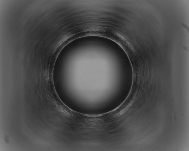 X0000093161017200709261505