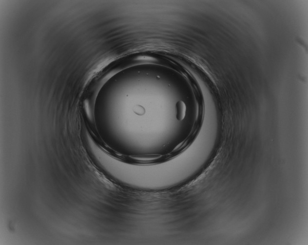 X0000093161018200709261505